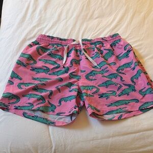 Chubbies Pink and Green Patterned Shorts
